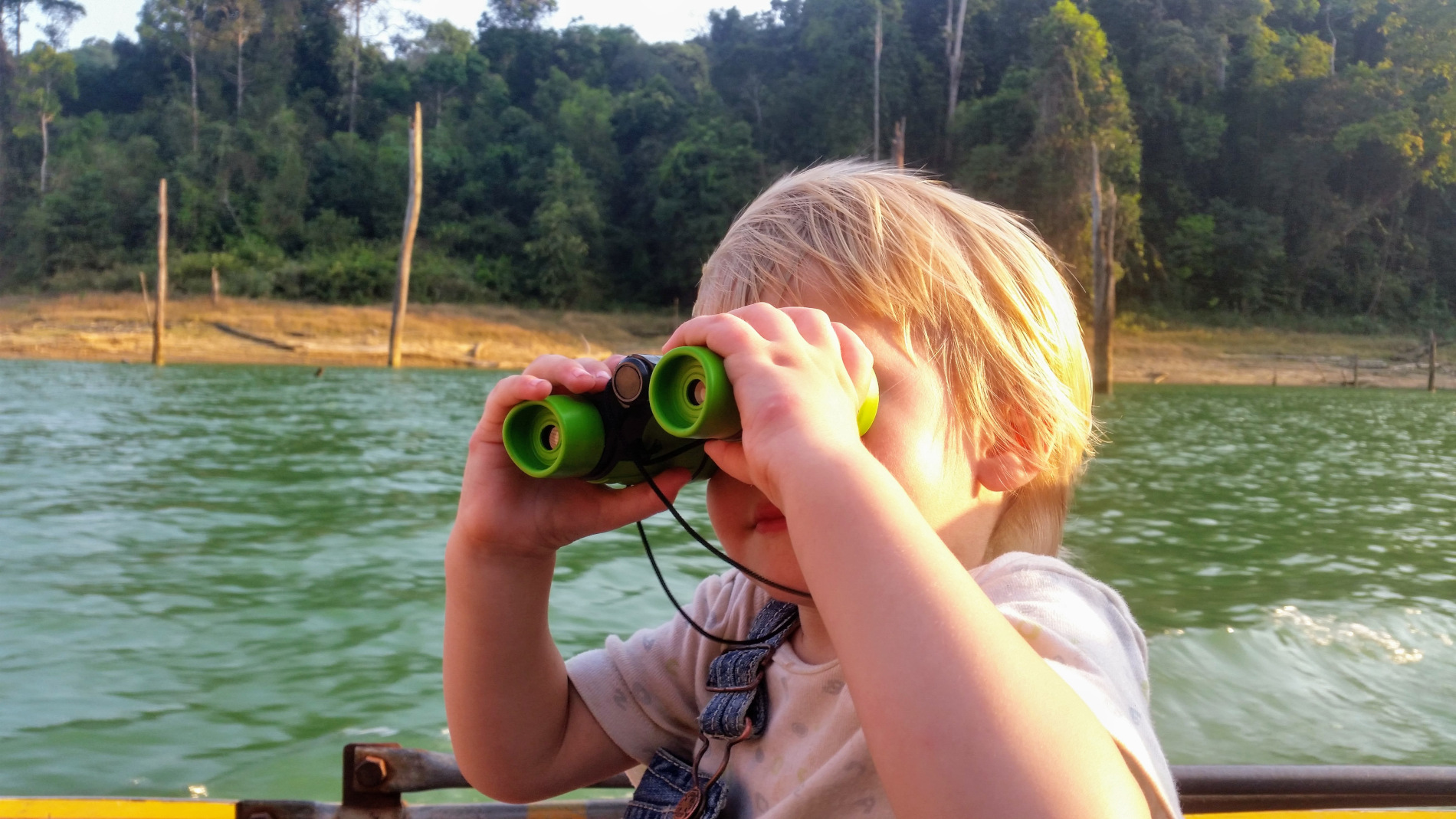 Meine Vision