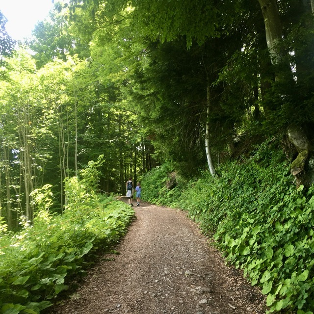 wanderweg